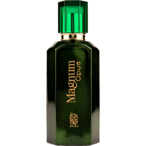 Magnum Opus by Nylaa - Men Perfume - EDP 100 ml