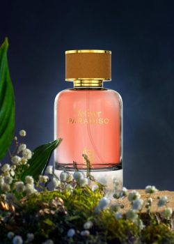vetiver paradiso by nylaa 100ml eau de parfum