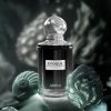 evoque 100ml perfume for unisex by auraa desire