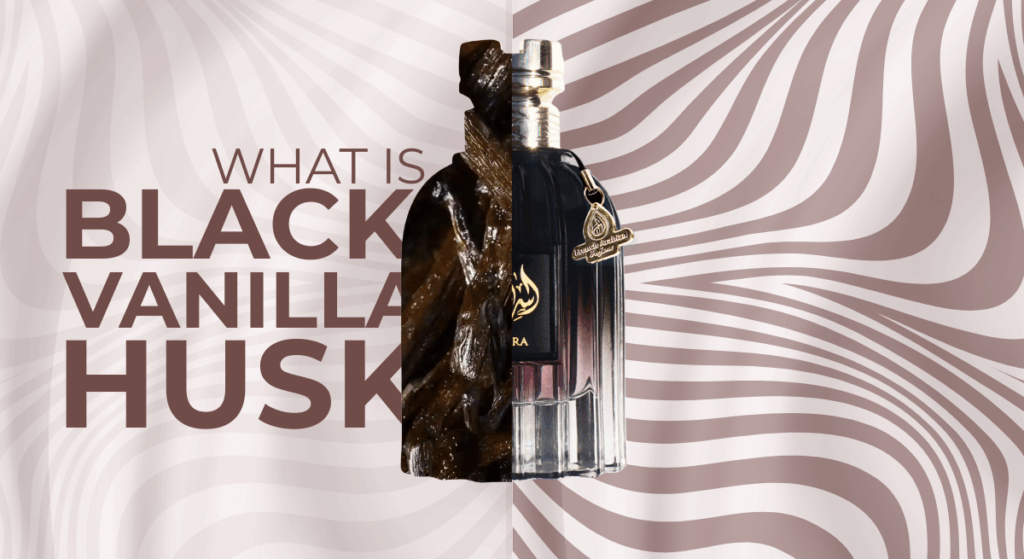 Blog Feature Image of: 'What is black vanilla husk' and 'Fragrance Notes Explained' blog about Isra 2025 new release perfume for men and women