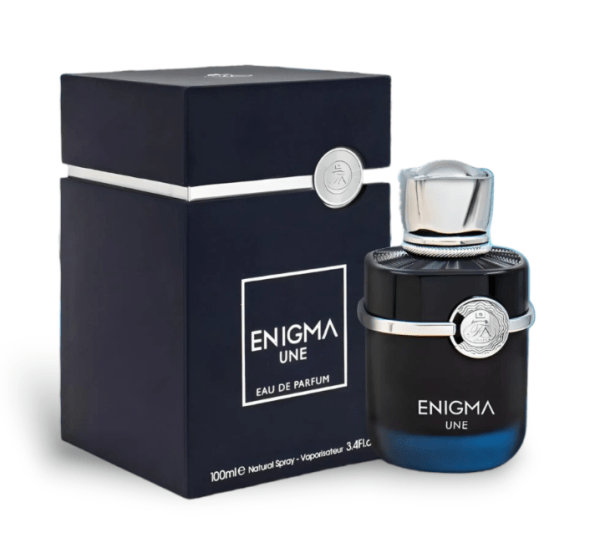 enigma une 100ml edp by fa paris (sauvage elixir inspired)