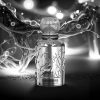 silver reserve 100ml perfume for unisex by auraa desire